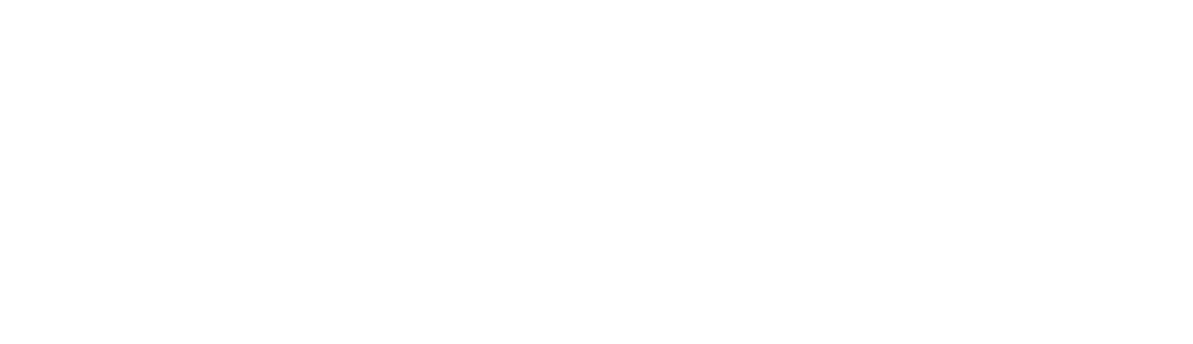 Nano Byte Solution